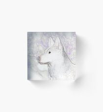 CANINE Acrylic Block