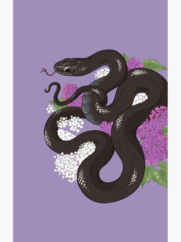 Mexican Black Kingsnake and Lilacs - Mbk - T-Shirt