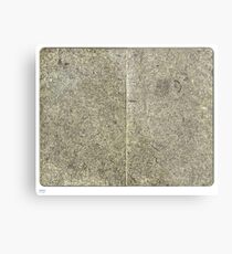 pendance Metal Print