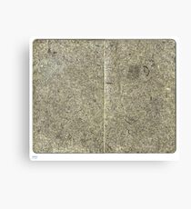pendance Canvas Print