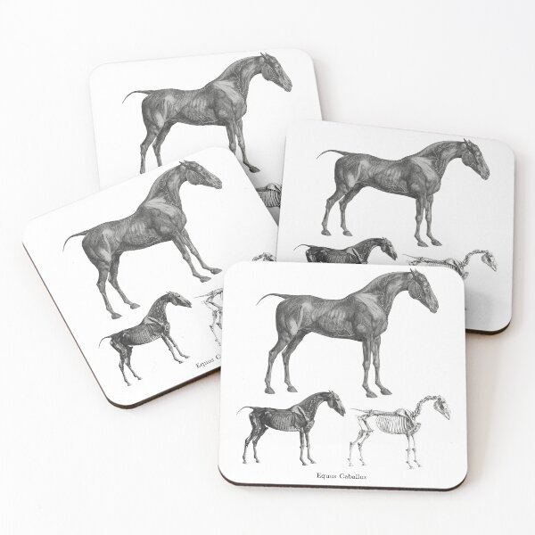 Item preview, The Anatomy of the Horse • Equus Caballus designed and sold by amuseXpress.