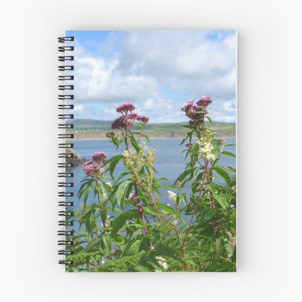 Item preview, Hemp agrimony near the cliff path at Porth Meudwy designed and sold by Anna Myerscough.