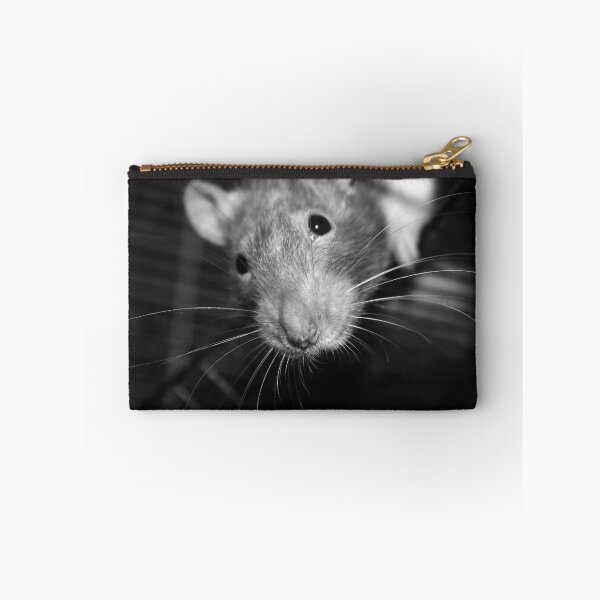 Item preview, Inquisitive designed and sold by khbphotos.