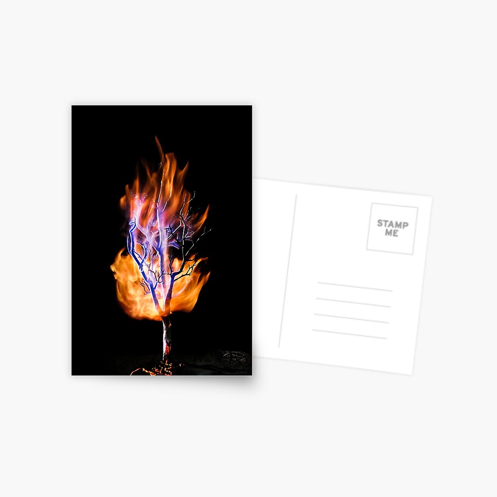 Item preview, Postcard designed and sold by DBailey.