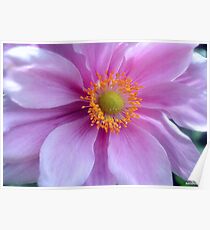 Pretty Pastels! Poster