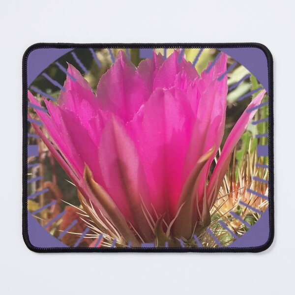 Item preview, Prickly cactus flower Fuchsia Hot - Pink color by Iritof designed and sold by iritof.