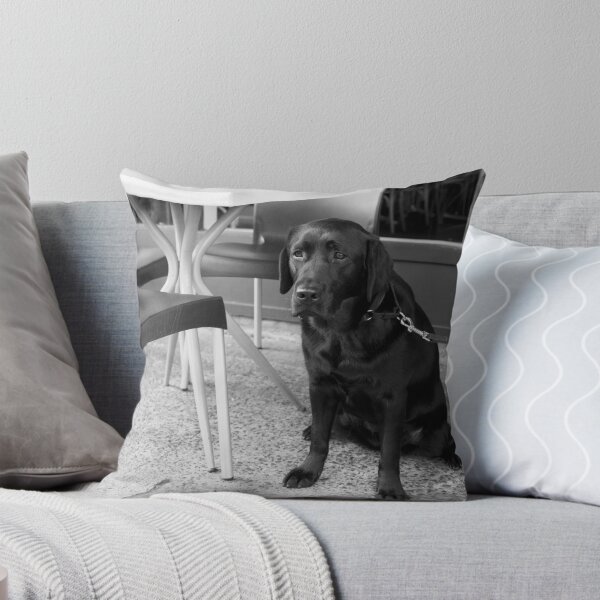 Item preview, Abandoned At The Cafe designed and sold by khbphotos.