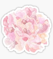 Pretty pink and peach carnation flower watercolour Sticker