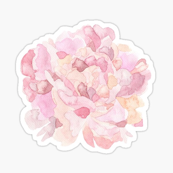 Pretty pink and peach carnation flower watercolour Sticker