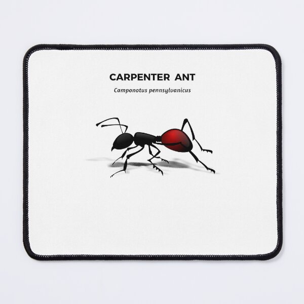 Item preview, Carpenter Ant  designed and sold by fostebris.