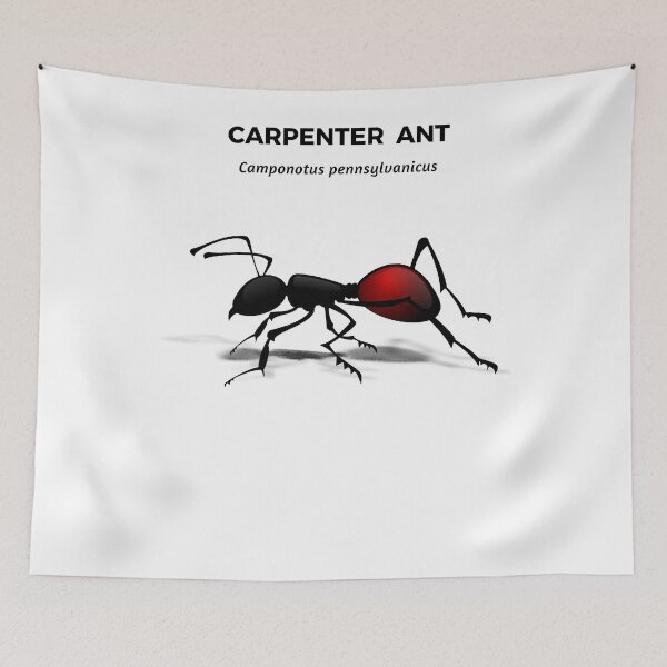 Item preview, Carpenter Ant  designed and sold by fostebris.