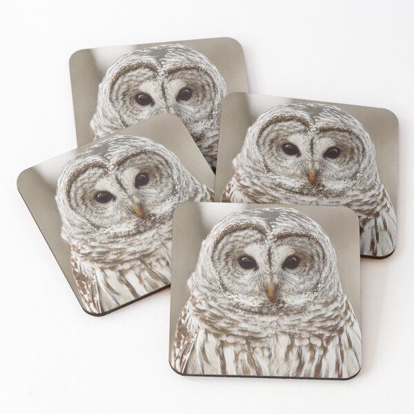 Item preview, Owl Portrait  designed and sold by Borinna.