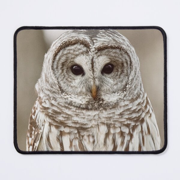 Item preview, Owl Portrait designed and sold by Borinna.