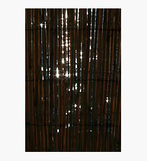 sparkle light, sparkle bright Photographic Print