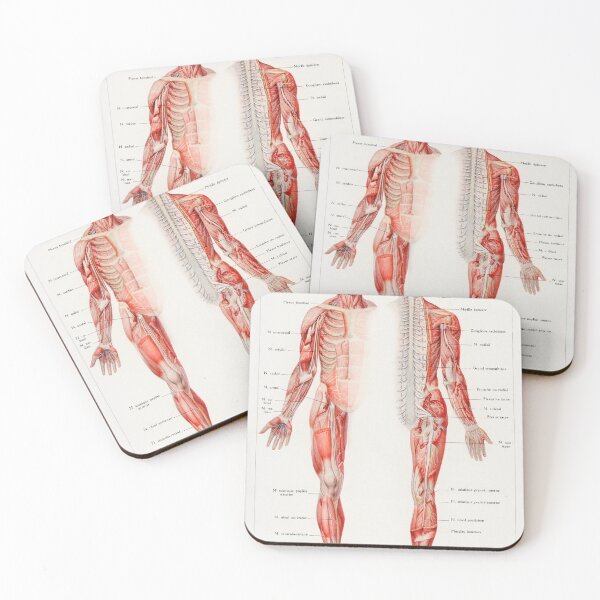 Item preview, An antique illustration of the human nervous system designed and sold by Fiskidal.