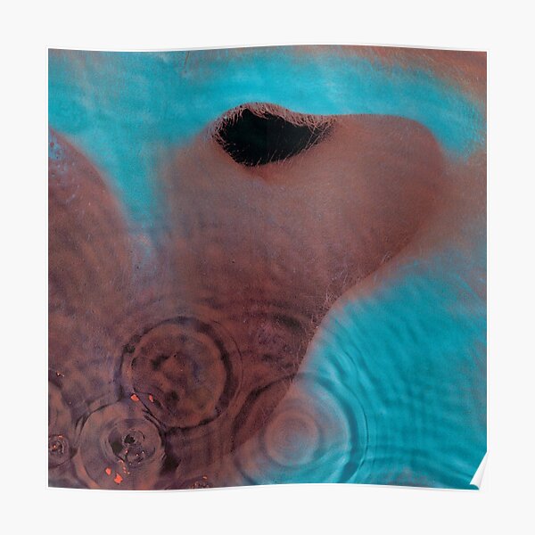 Einmischung von Pink Floyd Poster