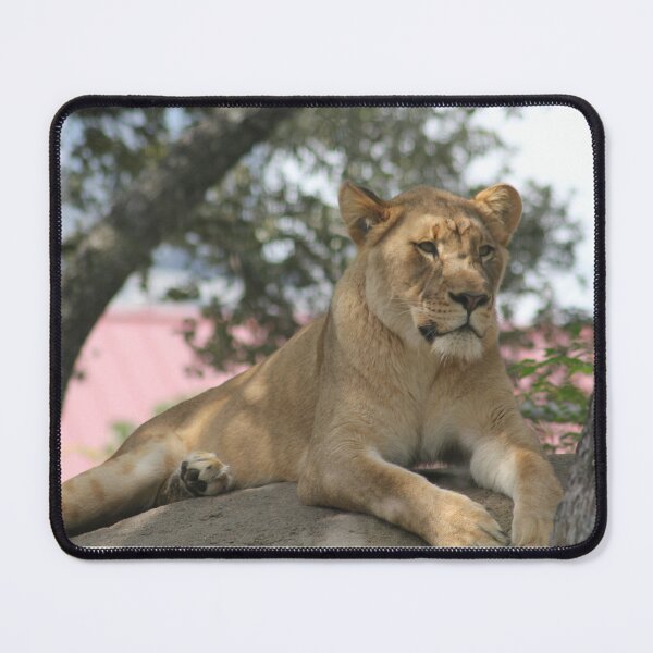 Item preview, The Regal Lioness designed and sold by Norma Jean’s Art.