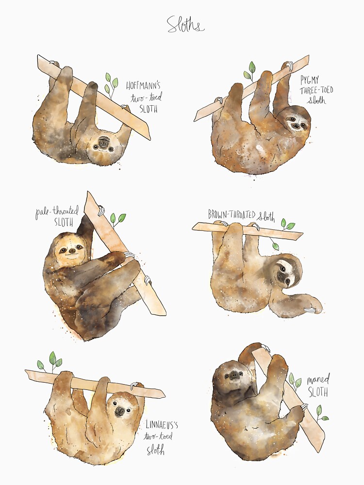 Sloths by AmyHamilton