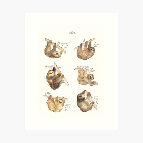 Sloths Art Print