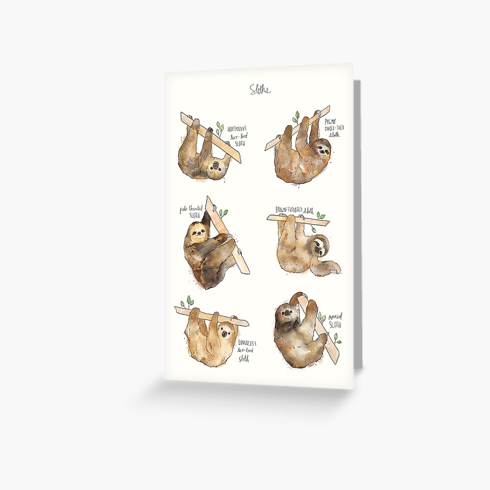 Sloths Greeting Card