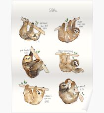 Sloths Poster