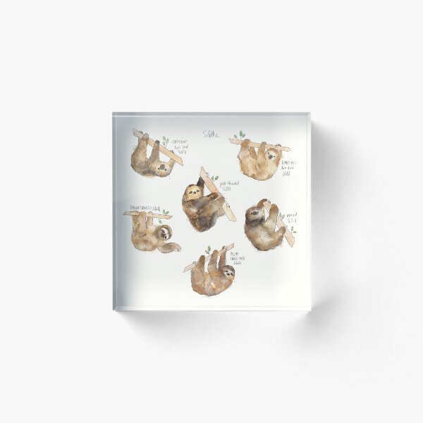 Sloths Acrylic Block