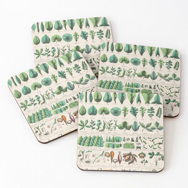 Item preview, Botanical forms of Leaves, Stems, Roots, and Flowers designed and sold by Fiskidal.
