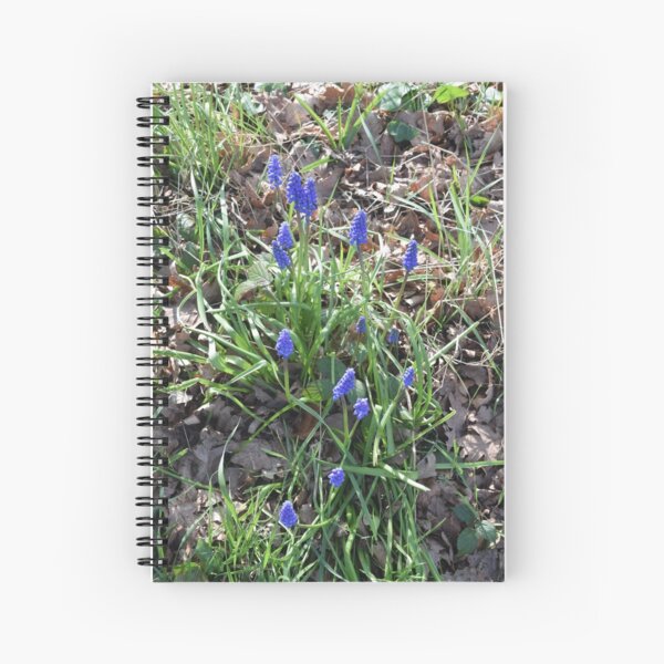 Blue Muscari Flowers in the Spring Woods Spiral Notebook