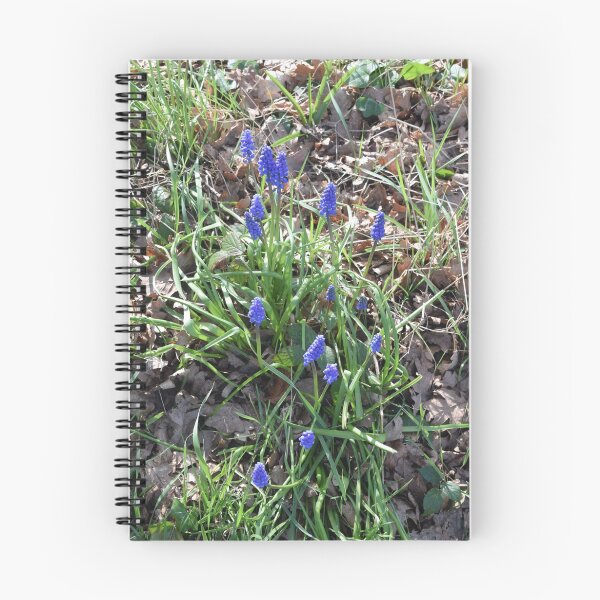 Item preview, Blue Muscari Flowers in the Spring Woods designed and sold by KR Green.