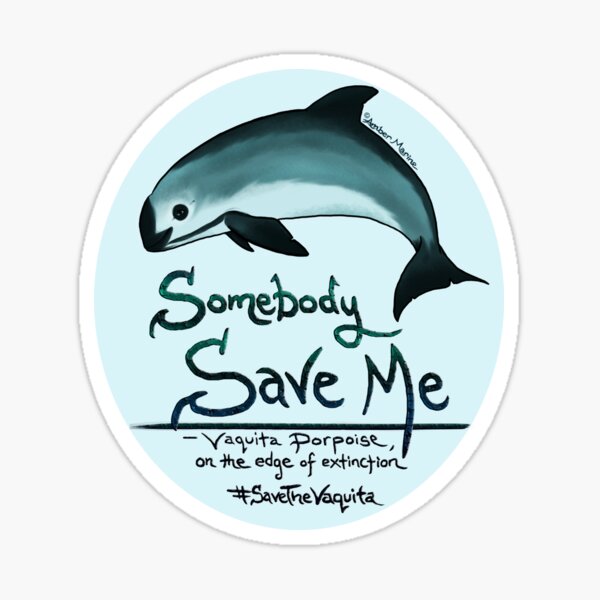 Save Me - Vaquita Porpoise, art © 2015 ~ Sticker