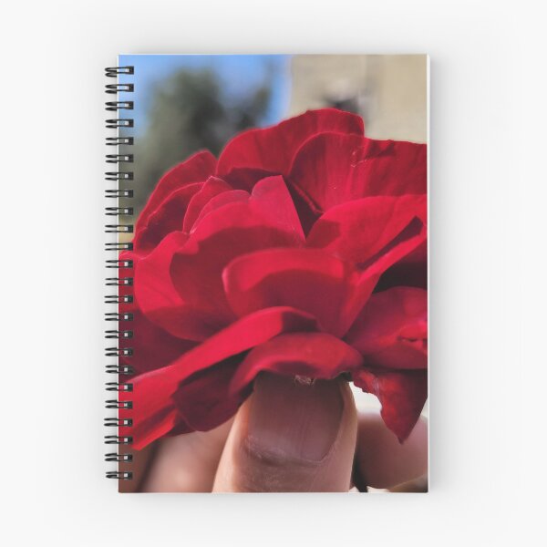 Aperçu de l'œuvre Red rose  créée et vendue par sawsanz.