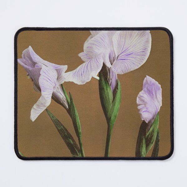 Item preview, Japanese Iris by Kazumasa designed and sold by jadeandjester.