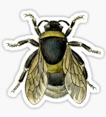antique typographic vintage honey bee Sticker