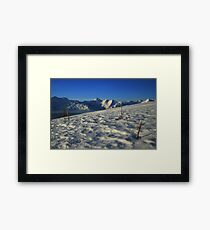 Survival Framed Print