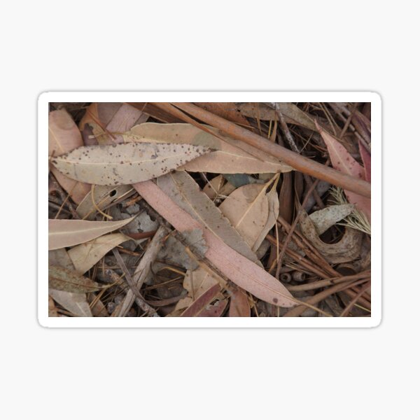 Australian Gum leaves Sticker