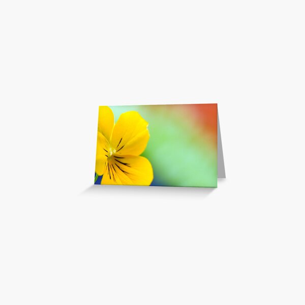 a bright yellow flower Greeting Card