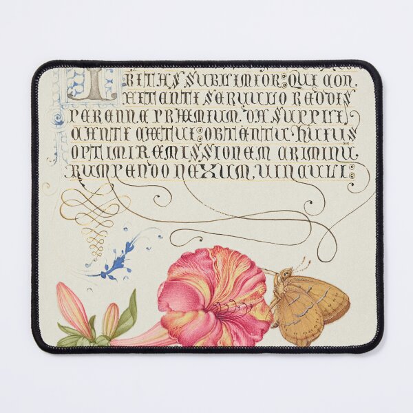 Item preview, Flower, Insect, and Fungus with Calligraphy by Bocskay and Hoefnagel designed and sold by jadeandjester.