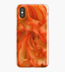 Begonia Festival 20 iPhone Case