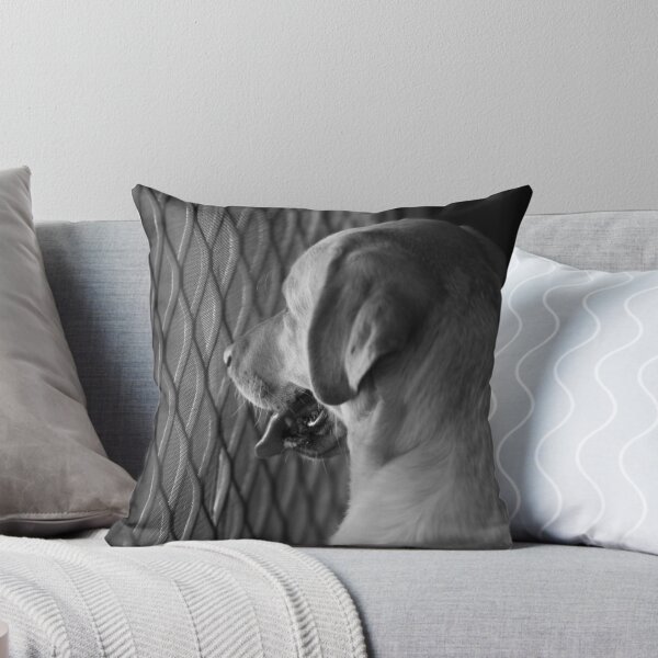 Item preview, Chloe designed and sold by khbphotos.