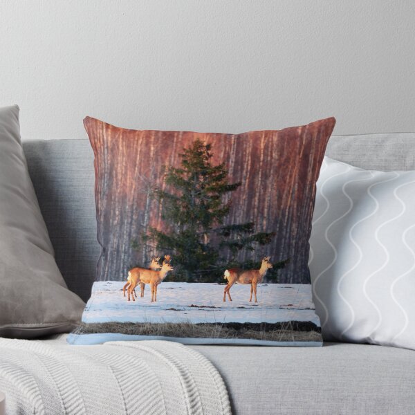 Item preview, White-tailed deer trio designed and sold by Jouko Lehto Photography.