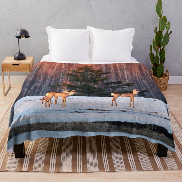 Item preview, White-tailed deer trio designed and sold by Jouko Lehto Photography.