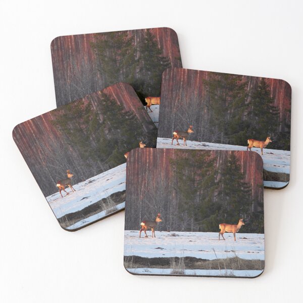 Item preview, When the sun goes down. White-tailed deer designed and sold by Jouko Lehto Photography.
