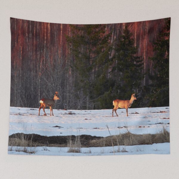 Item preview, When the sun goes down. White-tailed deer designed and sold by Jouko Lehto Photography.