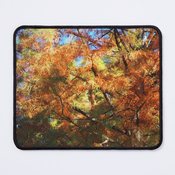 Item preview, Indian summer tree canopy colorful blue sky designed and sold by G-M-Designs.