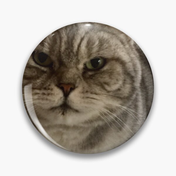 Item preview, molly   “Sniff Sniff”  British short hair,silver tabby  designed and sold by Angela Haig-Harrison.