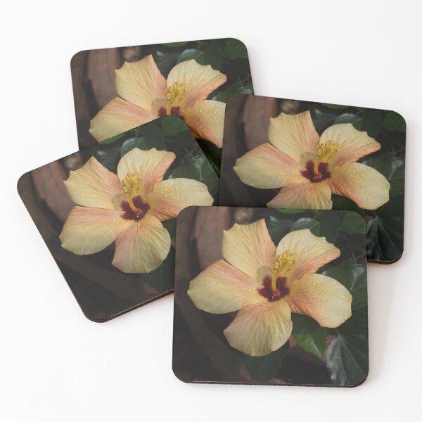 Item preview, Tropical Exotics - One Gorgeous Hibiscus Bloom with Raindrops designed and sold by Georgia Mizuleva.