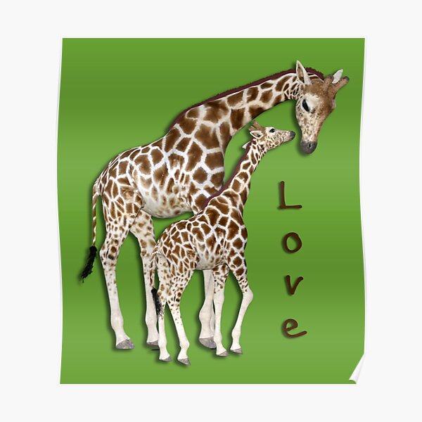 "Mom and Baby Giraffe with Love" Poster for Sale by Alondra Redbubble