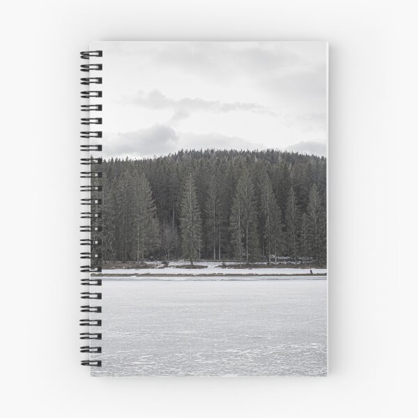 Item preview, Walk at the frozen reservoir in January - landscape format designed and sold by Silent-Seasons.