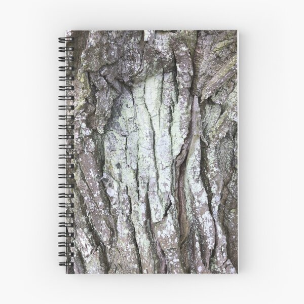 Aperçu de l'œuvre Green bark créée et vendue par elaine-gregers.
