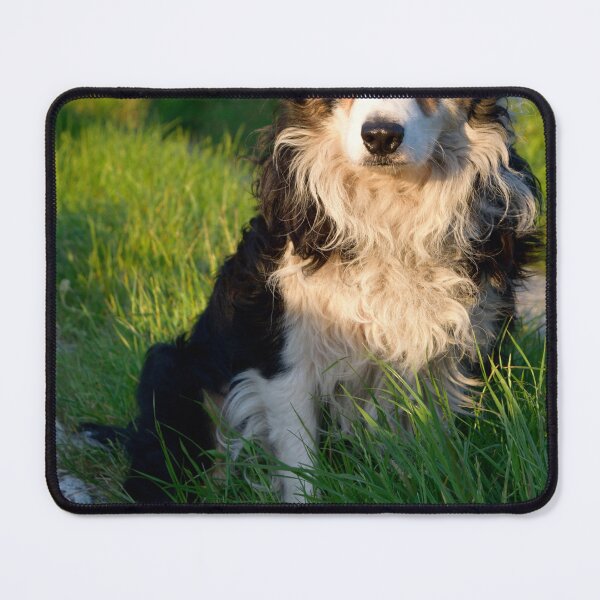 Item preview, My name is Laddie. designed and sold by Michael Haslam.
